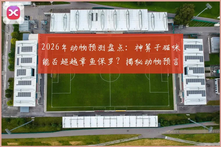 2026年动物预测盘点：神算子猫咪能否超越章鱼保罗？揭秘动物预言背后的趣味与科学